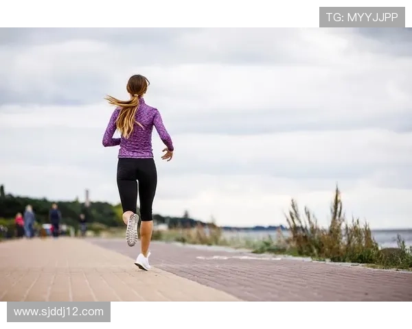 探索IM体育：如何提升你的运动表现与健康水平